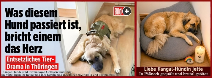 Stimmungsbild-Jette Kangal-Pößneck-1